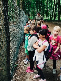 ausflug-erste-klasse-kgs-12