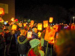 OLYMPUS DIGITAL CAMERA