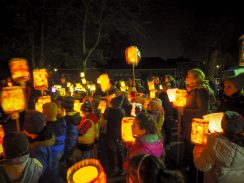 OLYMPUS DIGITAL CAMERA