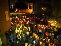 OLYMPUS DIGITAL CAMERA