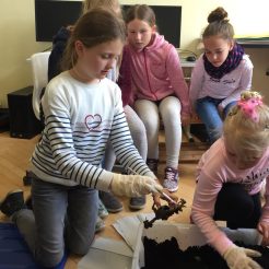 2018-05-04-PHOTO-00000359