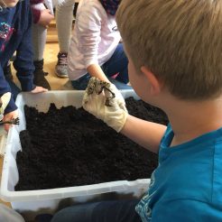 2018-05-04-PHOTO-00000360