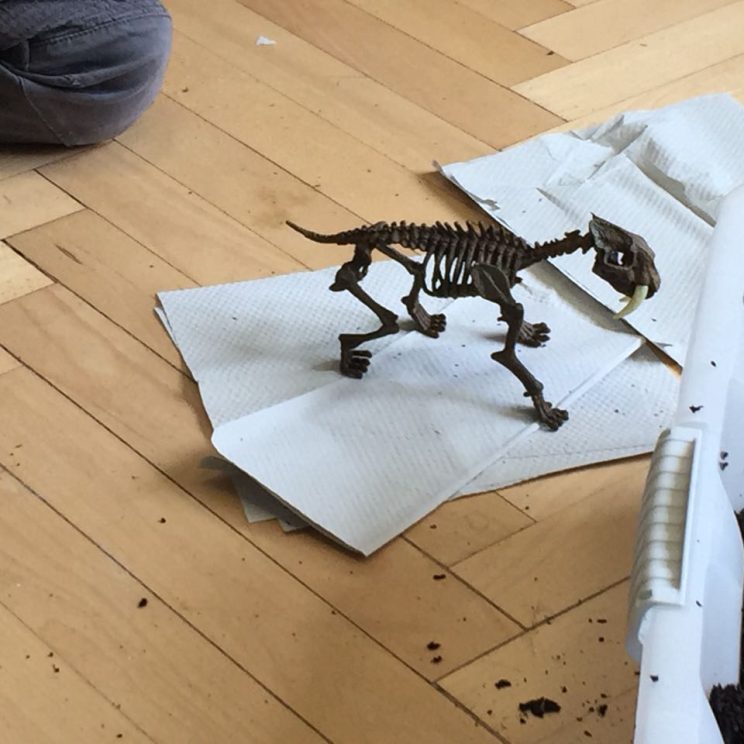 2018-05-04-PHOTO-00000361