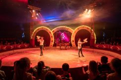 rondel-circus-13