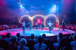 rondel-circus-2