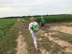 2d70d882-d434-48da-bbac-e3bd7cb67fc0