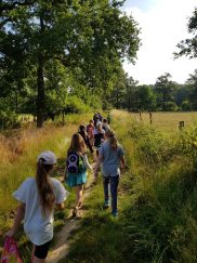 3acb11ec-3552-4741-bf49-4ac3b604a243