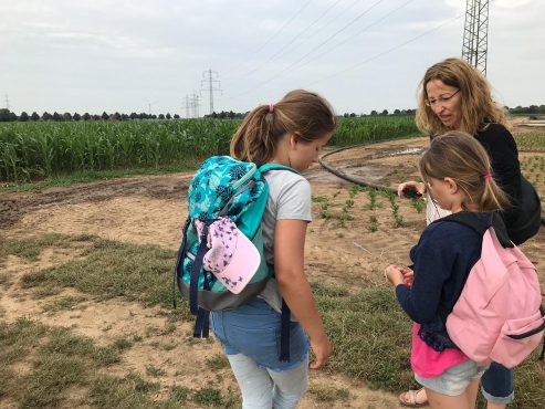 4bc6516f-e0f8-4c1a-8d6d-c1fb3f5a2a6b