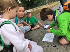 514752e2-d06d-4254-b9b9-cef4e5a5bc98