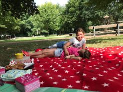 e53fa1d5-30fc-4fc2-9755-79147884f328