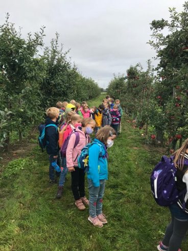 1e9f4697-7ed4-4bcc-bda4-fb2ff6ae6226