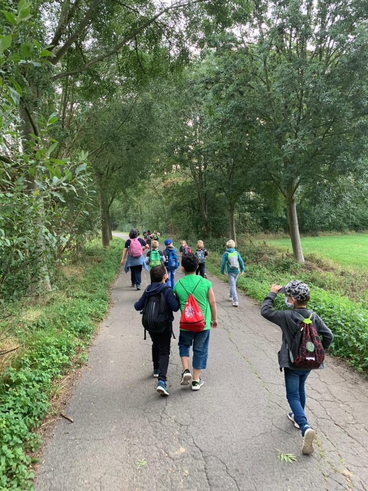 3d615ead-e146-4d20-8c33-70b419a1a788