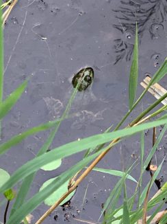 6216fdea-21cf-48da-afb5-5bc445c94acf