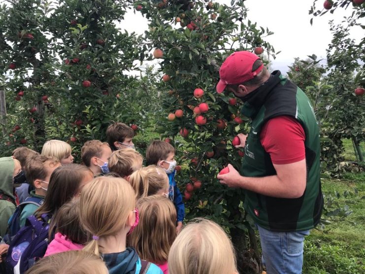 7007c026-b031-4e91-9962-7e09587582c2