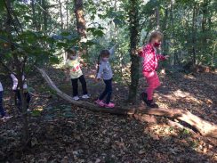 7a0be403-c341-4fde-b5ef-7eee2adfbf81