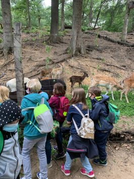 80b99f70-20c6-4770-8323-91183381deb3