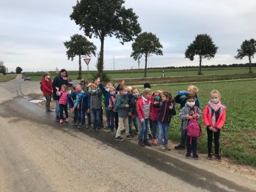 b8bd395f-d44c-4d21-9b8c-216cd3cf23a9