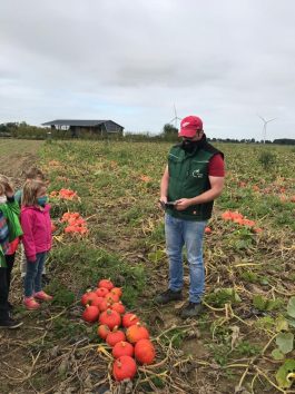 c861b25a-9362-4974-afbf-7c4947d6d9ab