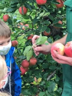 cf33adf7-b2d4-4ab5-b8c1-5e801e1ea9a5