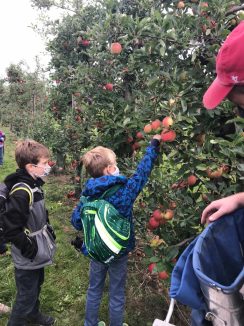 cfee88b4-bf9b-47b9-814d-2444fe0df40d