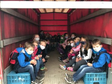 e3edd0a1-7b98-4eeb-a243-ea0f164c5c2a