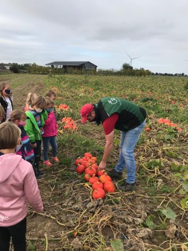 e5fc2cd7-871a-4031-8e1c-e820c44ac033