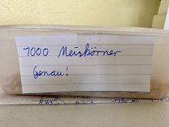 21F609E4-17D6-4298-90FE-BC1D6D39D012_1_201_a