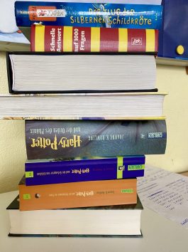 9A6EEEF6-AD74-4929-BB96-28B592A94AE5_1_201_a